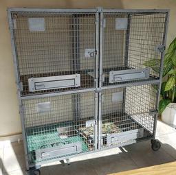 Large Pet Shop Breeder Animal Cat Dogs Cages on Wheels