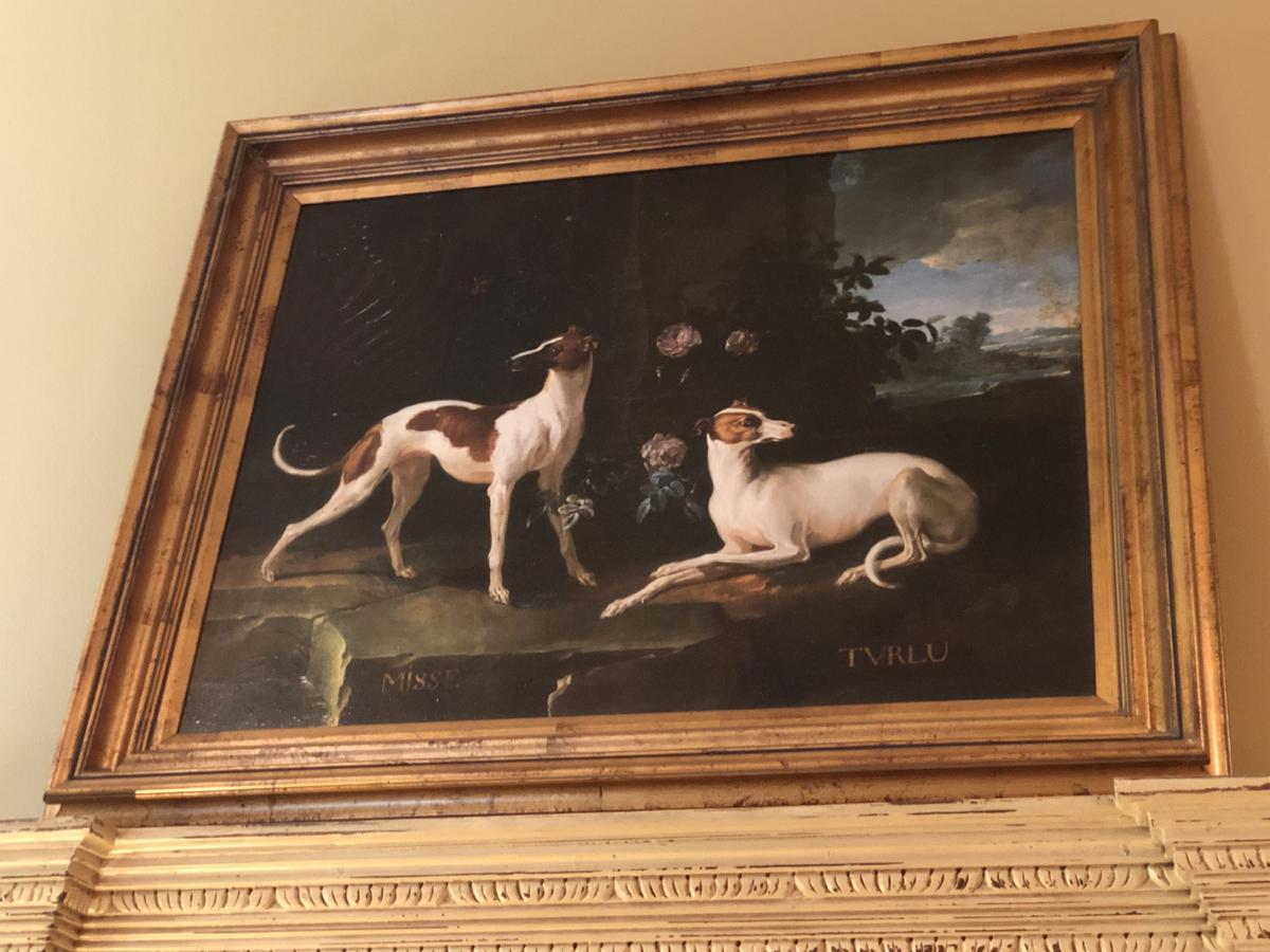 Oil Painting of Misse and Turlu, two greyhounds of Louis XV