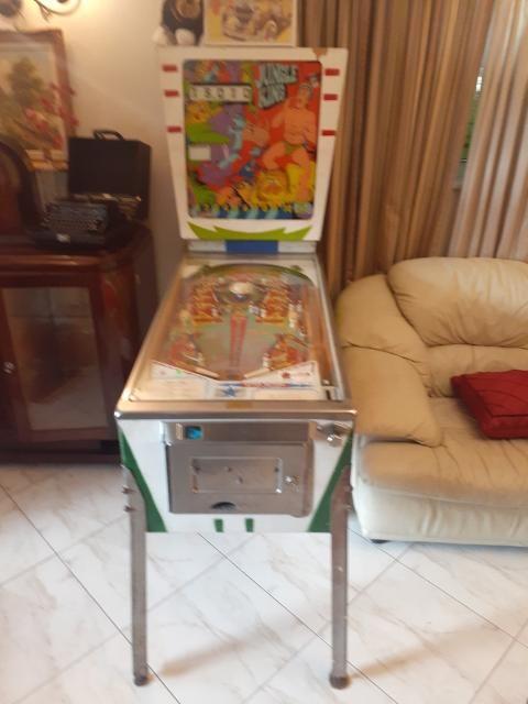 Jungle King Pinball Machine by D. Gottlieb - working