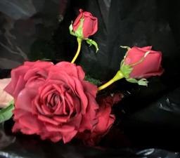 Bag full of Artificial Red Rose Flowers