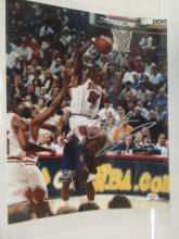 Dennis Rodman of the Chicago Bulls signed autographed 8x10 photo PAAS COA 447