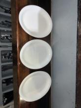 (50) Medium Size Oval Plates