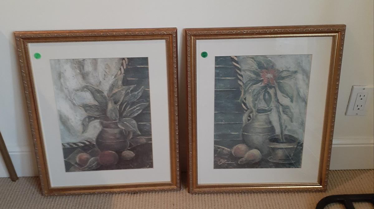 Matching Framed prints of plants