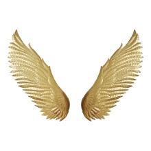 Moe's Home Wings Wall Decor With Gold Finish HZ-1023-32