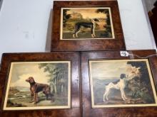 Oil Paintings on Board of Dogs: Greyhound, Pointer and Irish Setter, Each 13" X 15"