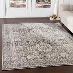 Surya Updated Traditional Mesopotamia 2' X 3' Rectangle Area Rugs MEP2303-23