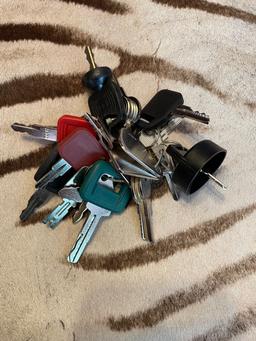 Assortment Equipment Key Ring