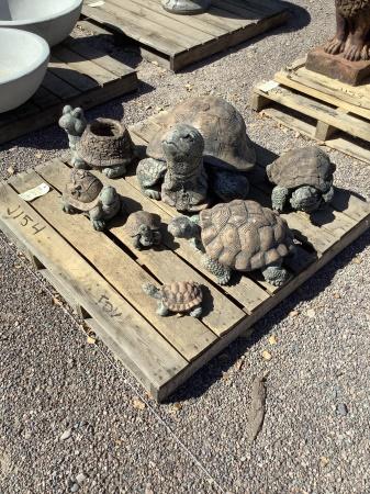 7 CONCRETE TURTLES