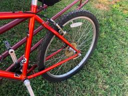 TRICK 820 MOUNTAIN BIKE (21 SPEED)