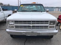 1987 CHEVROLET CUSTOM DELUXE 10 PICKUP