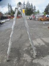 12' ALUMINUM COMBINATION LADDER