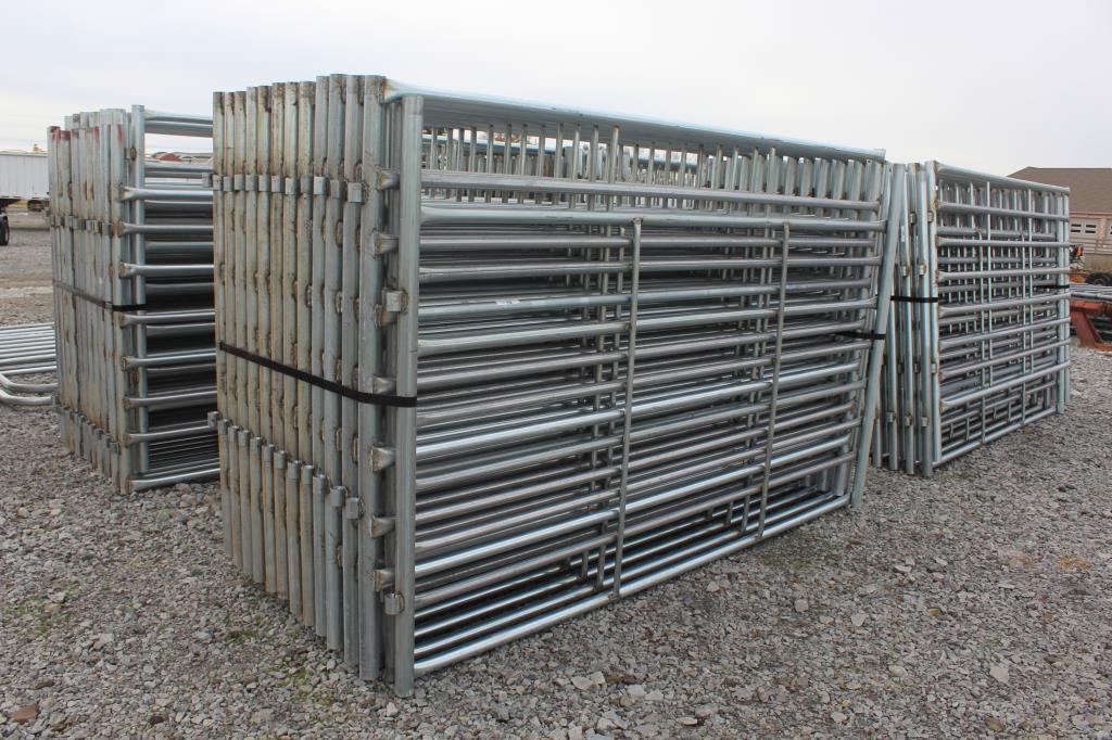 6 'x 10' Heavy Duty 6 Bar Corral Panel