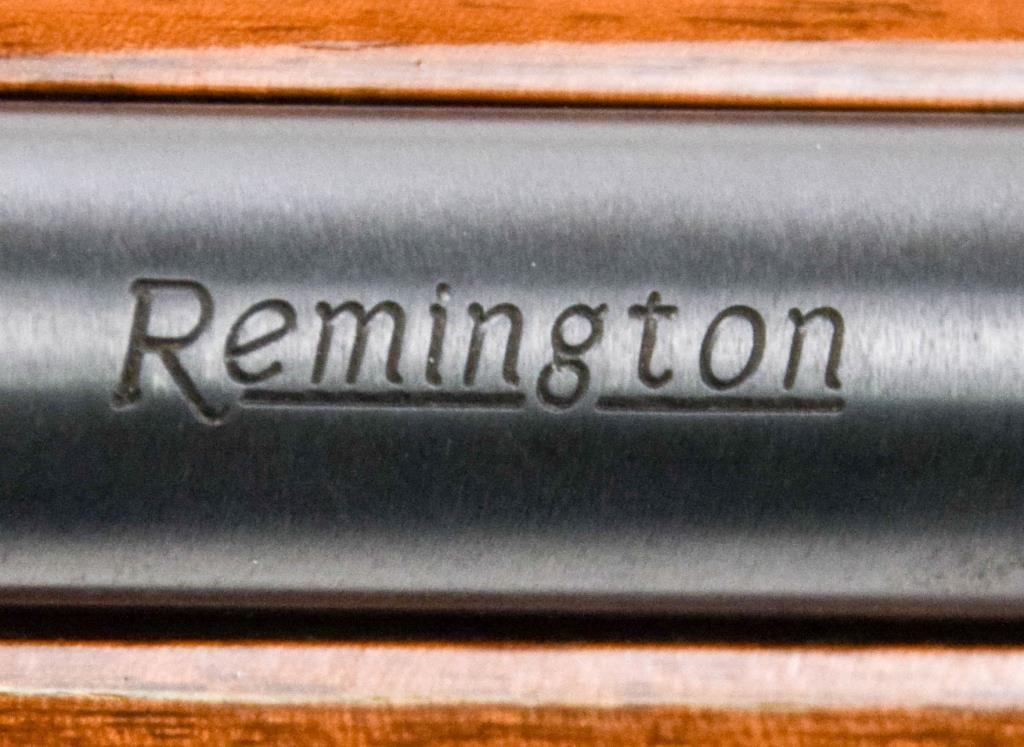 Remington Model 572 Deluxe Field Master .22 sl lr