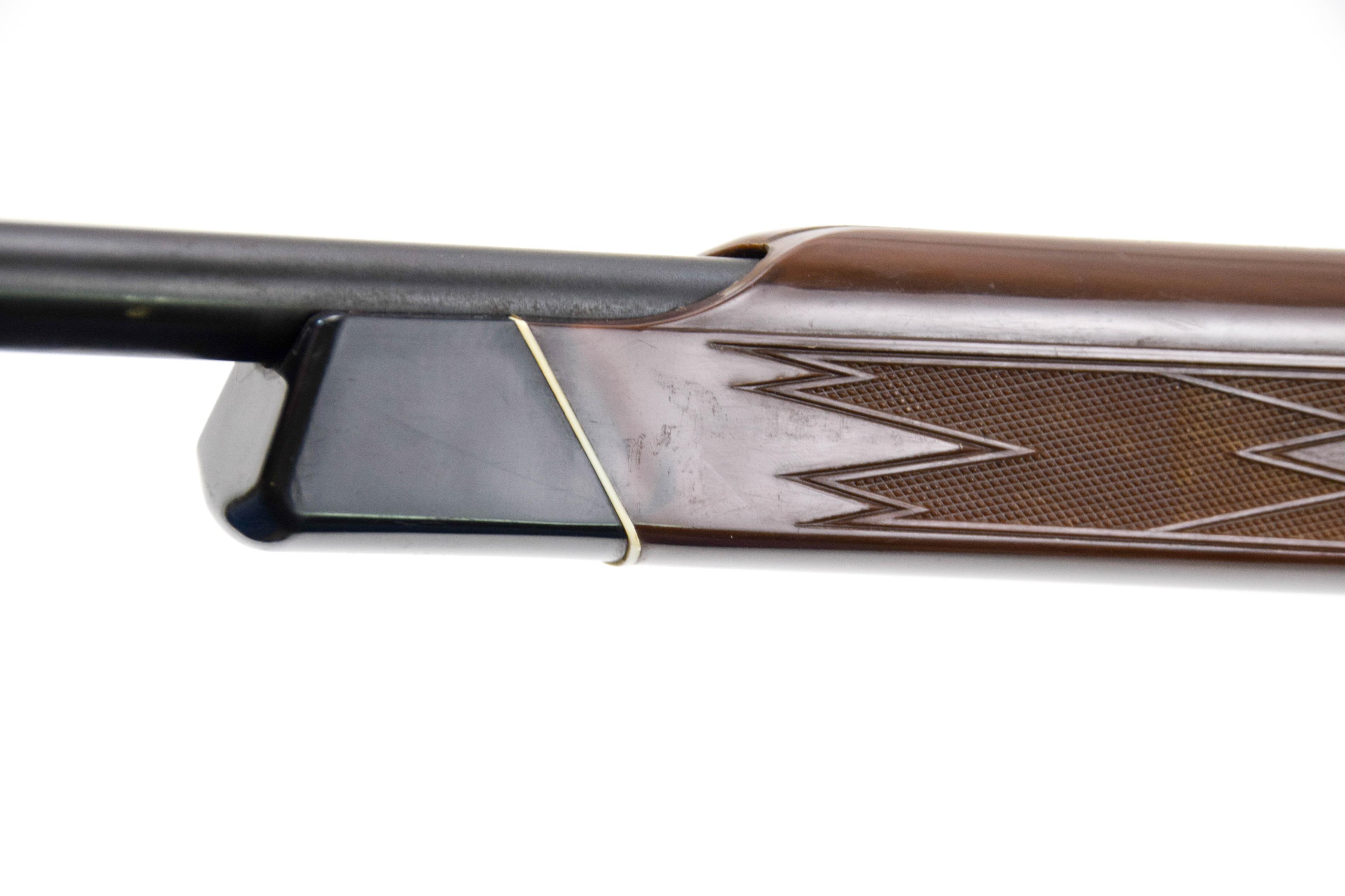 Remington Nylon 10 .22 sl lr