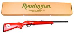 Remington Model 597 .22 lr