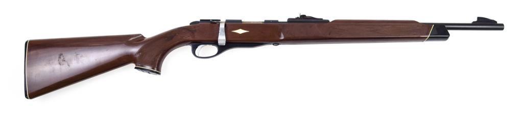 Remington Nylon 10 .22 sl lr