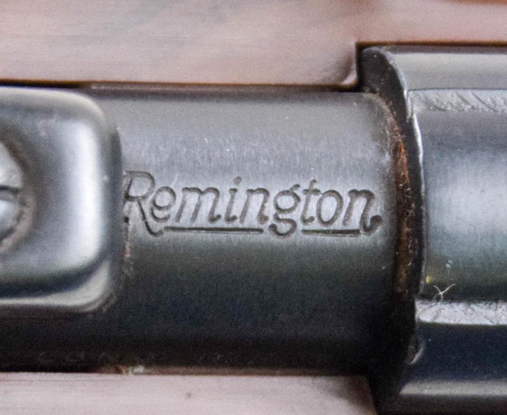 Remington Nylon 10 .22 sl lr