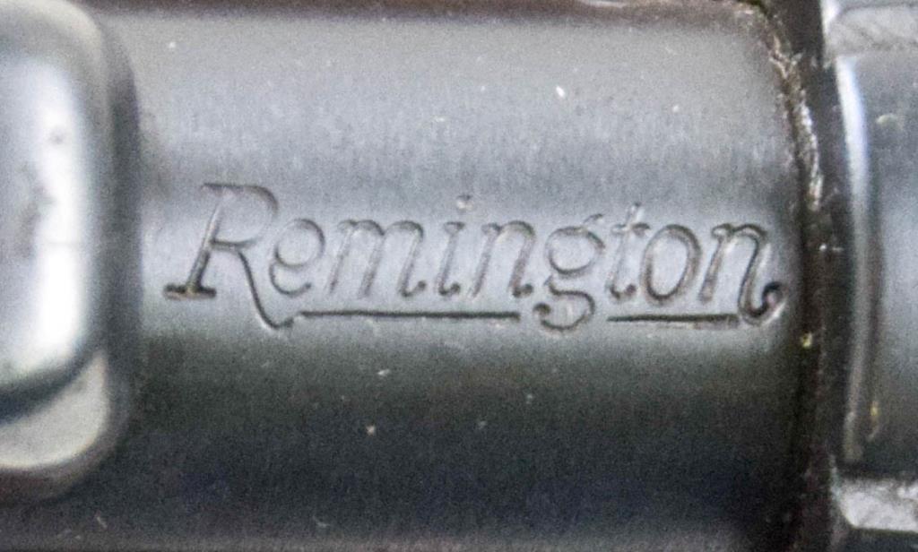 Remington Nylon 12 .22 sl lr