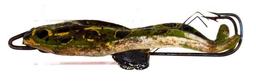 Hasting's  - Rubber Frog -