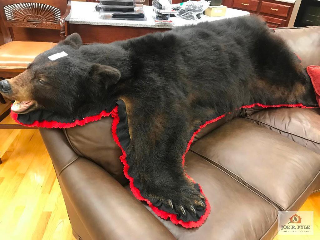 Black Bear Rug