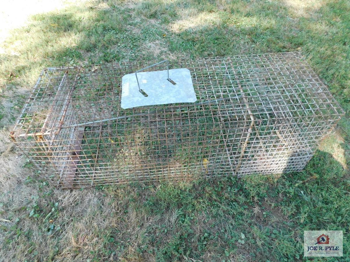 Large humane animal trap