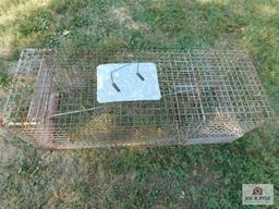 Large humane animal trap