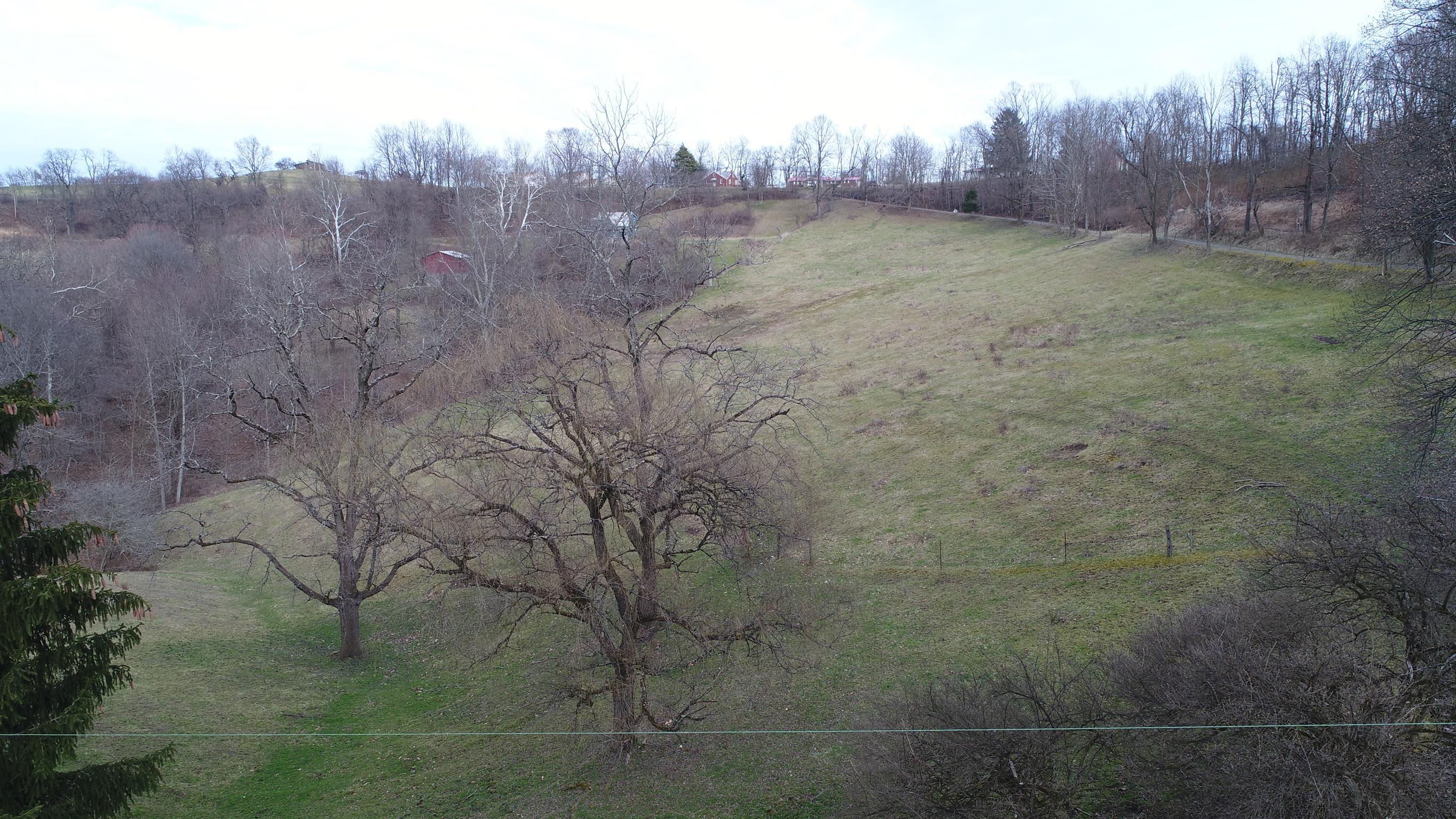 18.54 Acres with 4 Bedroom Home