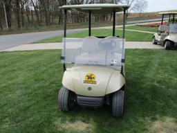 2009 Silver Yamaha Golf Cart #15