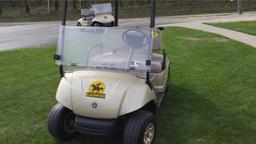 2009 Silver Yamaha Golf Cart #10