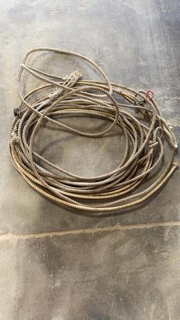 BOX OF HALTERS, LEAD ROPES & HEAT LAMP