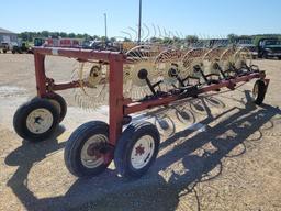 Agco 3983 12 Wheel Hay Rake