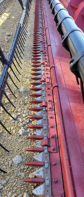 C-IH 1020 25' 3" CUT BEAN PLATFORM