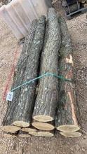 12 PIECES BLACK OAK 7' AND 8' FENCE POSTS