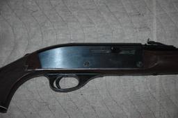 Remington Nylon 66