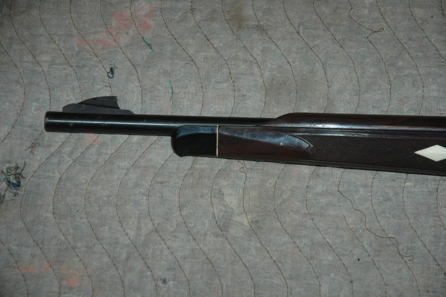 Remington Nylon 66