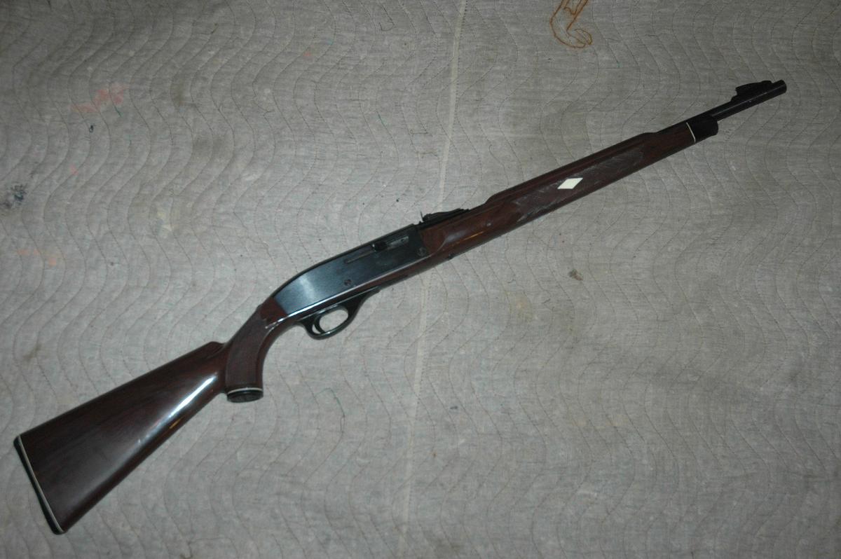 Remington Nylon 66