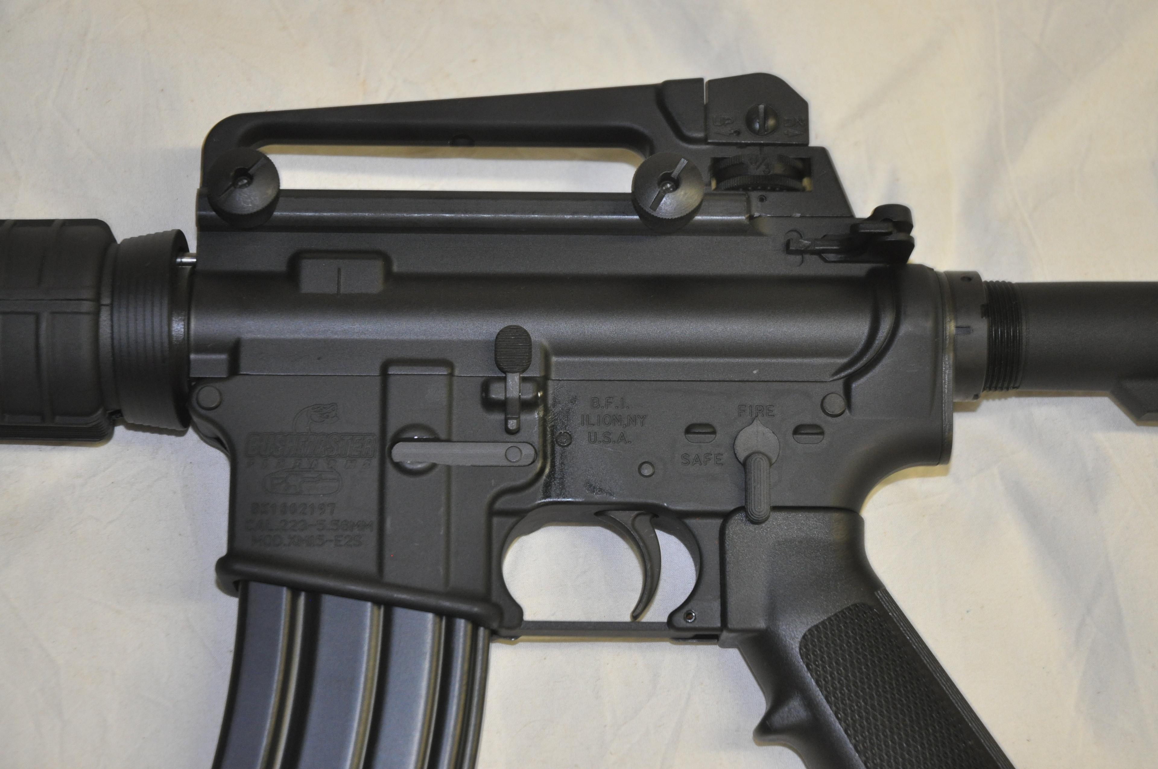 Bushmaster XM15-E2S Rifle