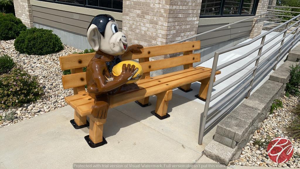 Custom Wood Bench W/ Monkey 8ft