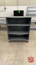 Metal Inventory Cabinet W/ Casters 48"x24"x57"