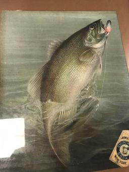 Bass Fish Picture with Arm & Hammer, Church & Co's Soda Box