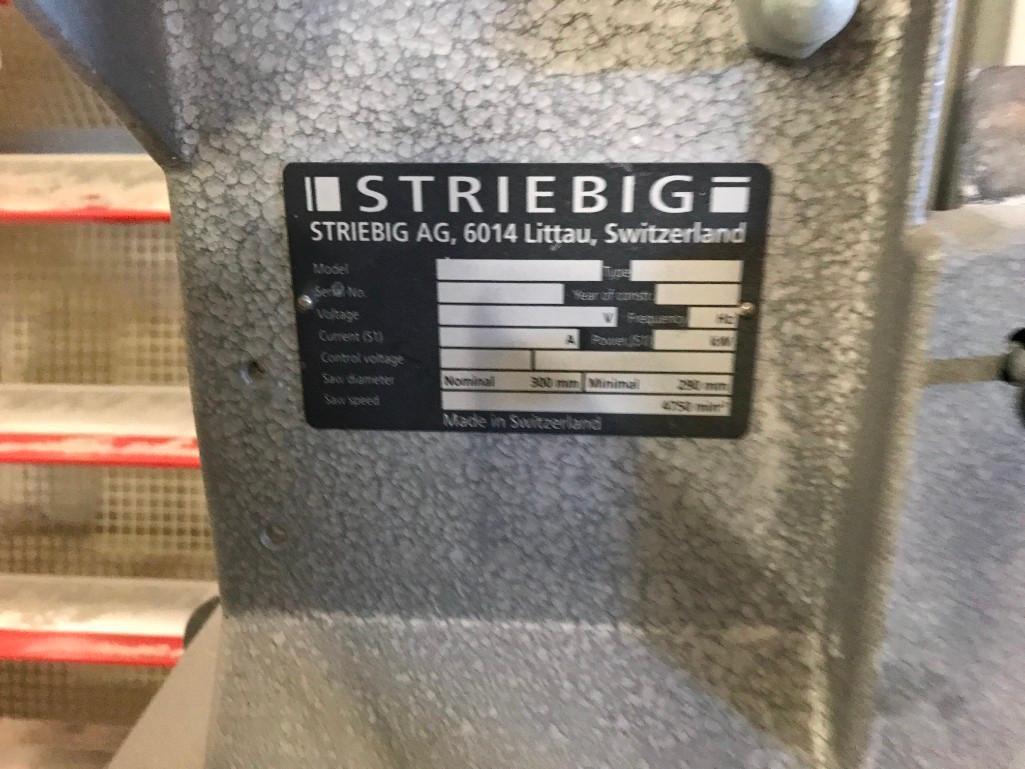 STRIEBIG OPTI-SAW II VERTICAL PANEL SAW