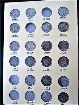 Buffalo Nickel Set