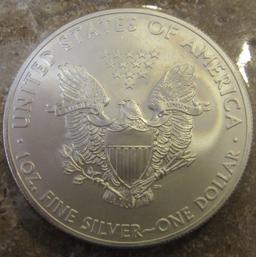 2013 United States of America 1oz Fine Silver One Dollar