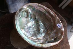 Large Abalone Shell