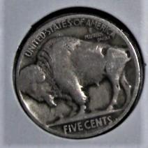 1924-D Buffalo Nickel