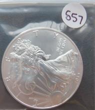 2013- American Eagle Silver Dollar