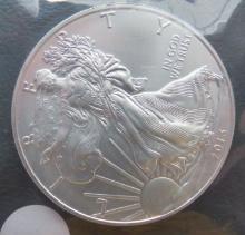 2013- American Eagle Silver Dollar