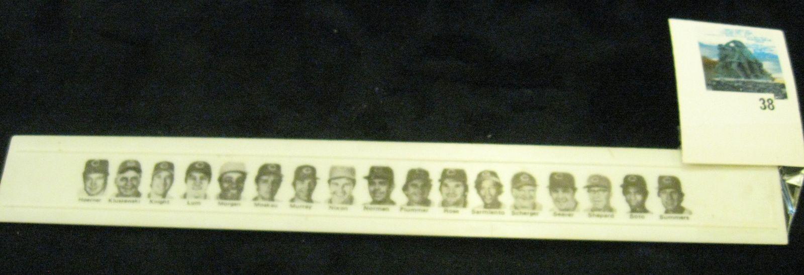 1977 Cincinnati Reds plastic ruler, all images and graphics visible