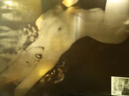 Huge Negative of the famous Nude Marilyn Monroe Photo designed for a Wall Projector. 12" x 16".