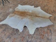 COW HIDE